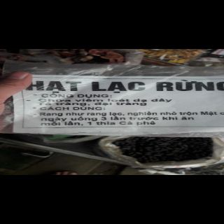 Lạc Rừng