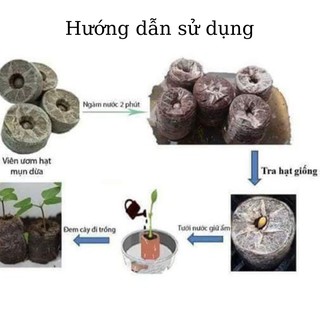10 viên nén xơ dừa - Viên nén ươm hạt