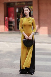 Áo dài nhung