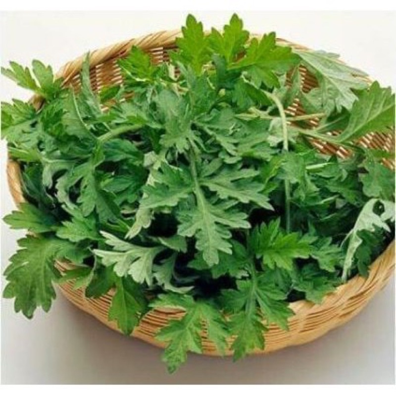 Cây ngải cứu.