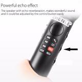 Micro Karaoke Bluetooth cao cấp thế hệ mới L-598 âm thanh chất lượng