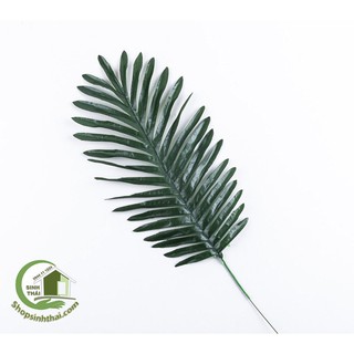Cành lá dừa trang trí - Lá dừa lớn decor, đạo cụ chụp hình
