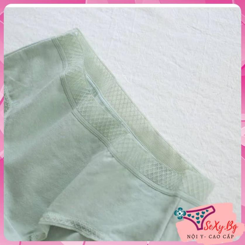 QUẦN LÓT COTTON KHÁNG KHUẨN CHỐNG HPV 10 MÀU ĐỦ SIZE