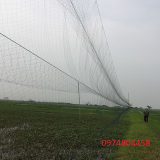 Lưới bẫy chim đêm