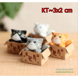 Mèo trong hộp đáng yêu may mắn trang trí tiểu cảnh để bàn cây cảnh phong thủy quà tặng