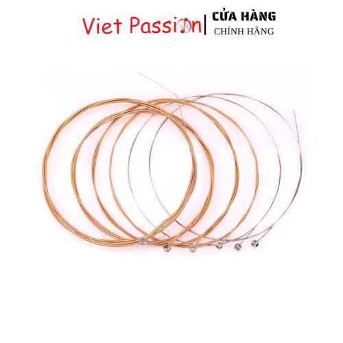 Dây đàn guitar acoustic GP Viet Passion chất lượng dành cho đàn ghita
