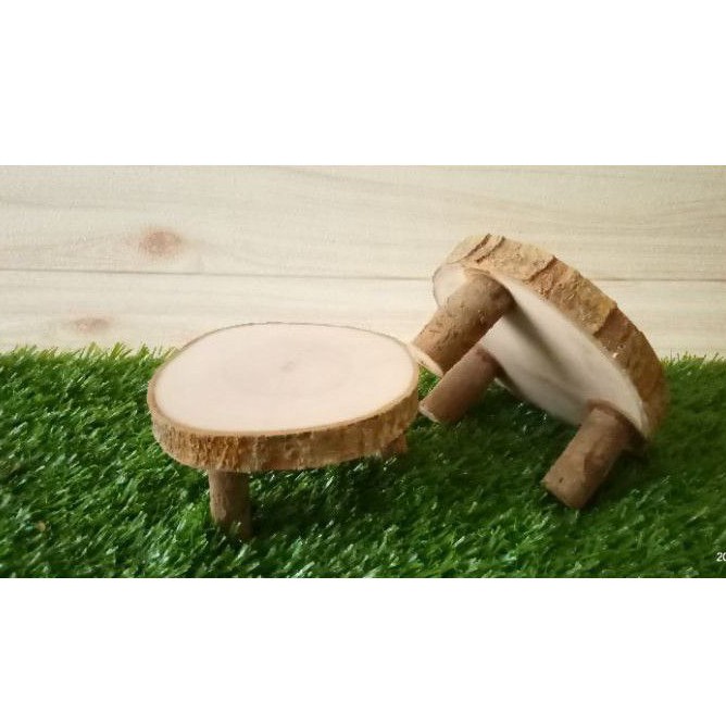 Tấm lót chuột hamster bằng gỗ | Gỗ tự nhiên chất lượng cao | Phụ kiện lồng nuôi chuột hamster chuyên dụng