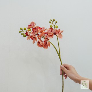 Cành hoa tiểu hồ điệp vải lụa Ghome màu sắc tự nhiên decor bài trí phòng khách không gian chung