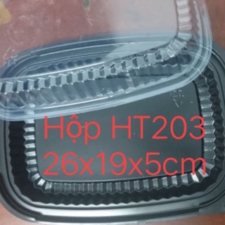 Sỉ 100 hộp HT203 dùng 1 lần - đựng 1 kg sầu riêng