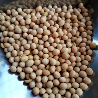 ĐẬU TƯƠNG ĐẬU NÀNH - 1kg