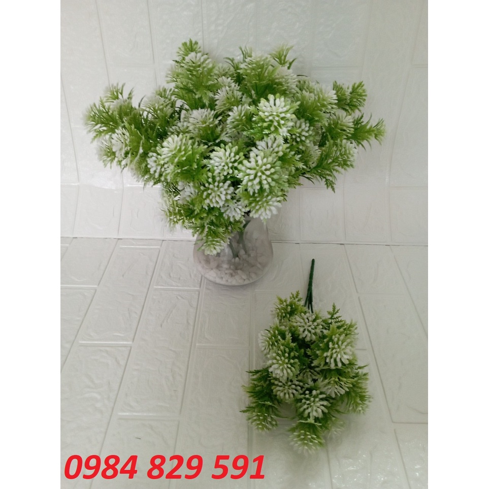 Cụm điểm hoa đá