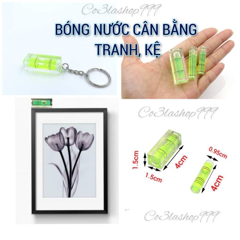 Bóng nước cân bằng tranh, kệ SIZE MINI ,có nhiều phân loại