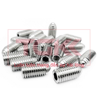 Vít trí đầu bi inox 304 M12