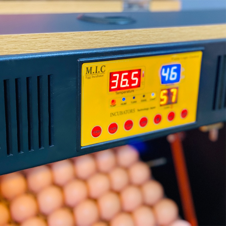 Máy ấp trứng Mic 100 bản cao cấp 2022 Phun Sương, Diệt Khuẩn