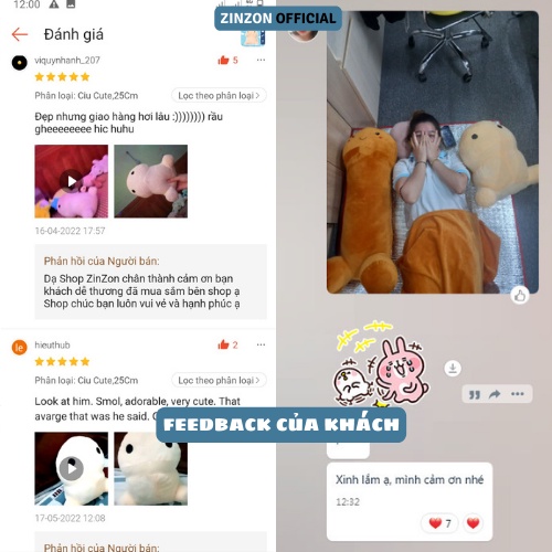 Gấu bông ciu dễ thương nhồi bông cao cấp ZinZon