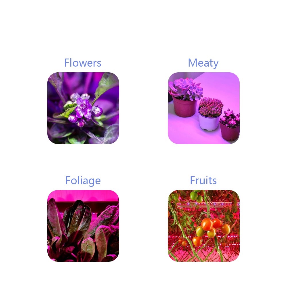 Đèn LED Trồng Cây Năng Lượng Mặt Trời 200W