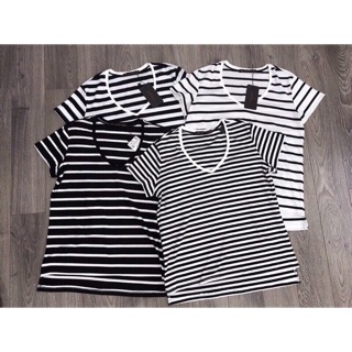 Áo phông kẻ zara basic