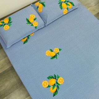 Drap thun hàn quốc may theo yc