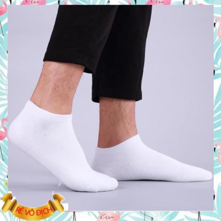 (Giá sỉ) Tất Vớ Nam Nữ Cotton Trơn Cổ Ngắn Hàn Quốc - Tất Vớ Cổ Thấp Unisex Thấm Hút Mồ Hôi Cực Tốt  - M204