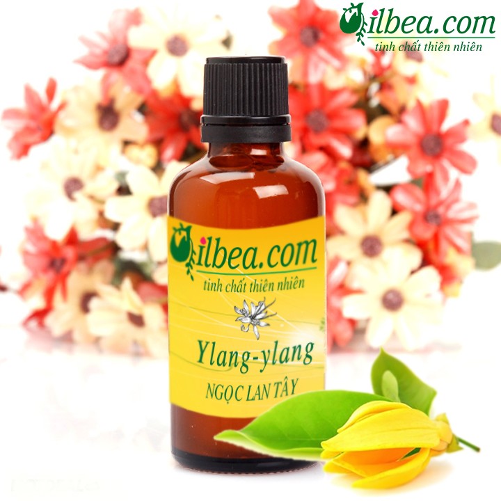 Tinh dầu ngọc lan tây 50ml - ylang ylang