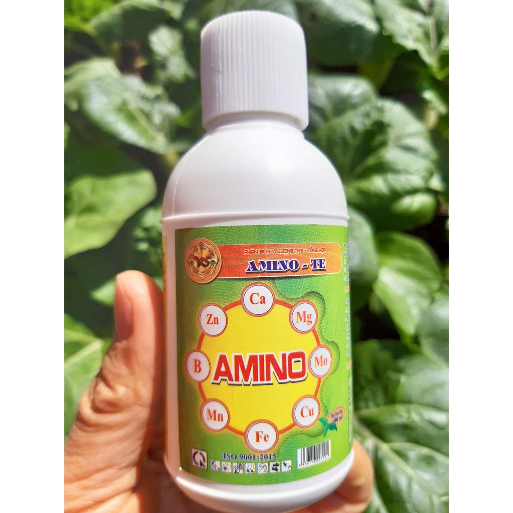 AMINO TE: TRUNG VI LƯỢNG TỔNG HỢP ( Đậm Đặc) - Chai 100ml