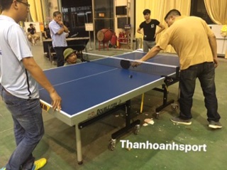 Bàn Bóng Bàn Double Fish DF-233