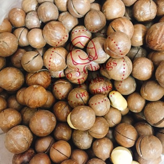 Hạt Macadamia Úc đóng hộp (1kg)