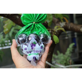 [Giá phải chăng][SIÊU HOT] Thạch nổ Kyoho Jelly Hàn Quốc
