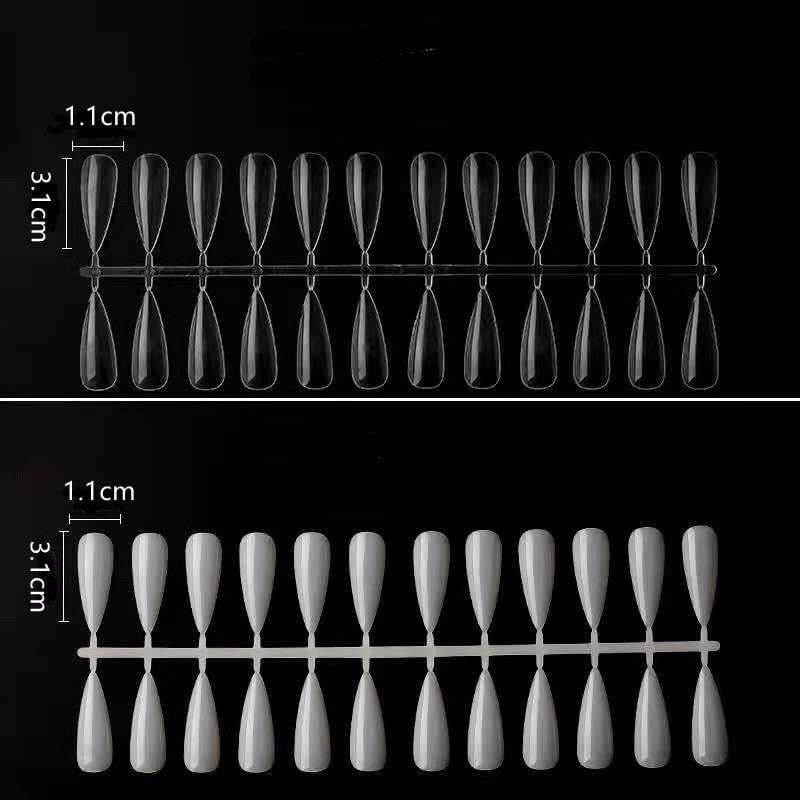 Vĩ móng nhọn tập sơn , tập vẽ