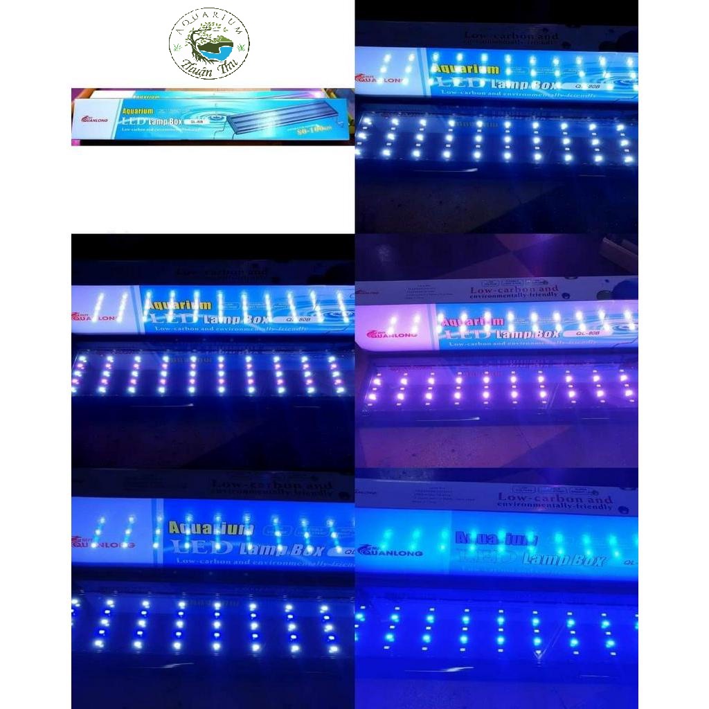 Đèn led Quanlong 5 hàng bóng 3 chế độ màu ánh sáng trắng xanh 60 80 100 cm