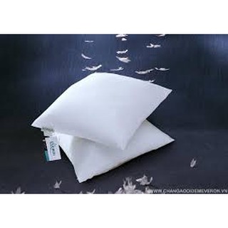 Combo 2 Ruột Gối Hơi Athena
