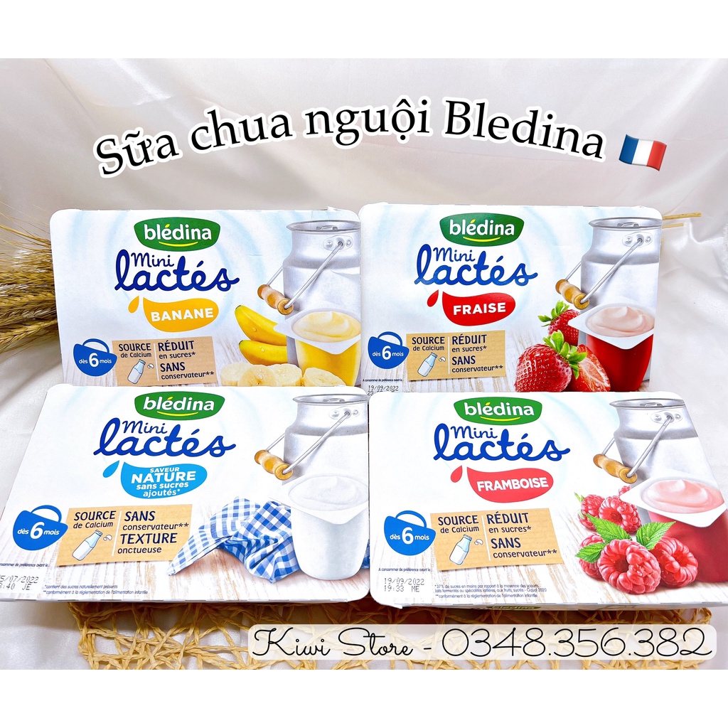 Sữa chua nguội Bledina mini lactes Pháp vị trái cây cho bé từ 6 tháng