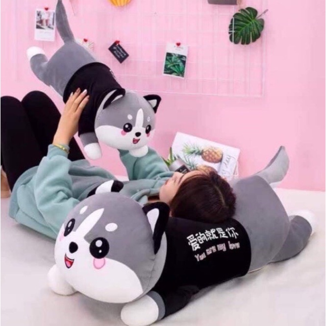 Mèo Husky Má Hồng Gấu bông Siêu To Khổng Lồ mềm mượt êm mượt dễ thương siêu đáng yêu  rẻ đẹp MLT06