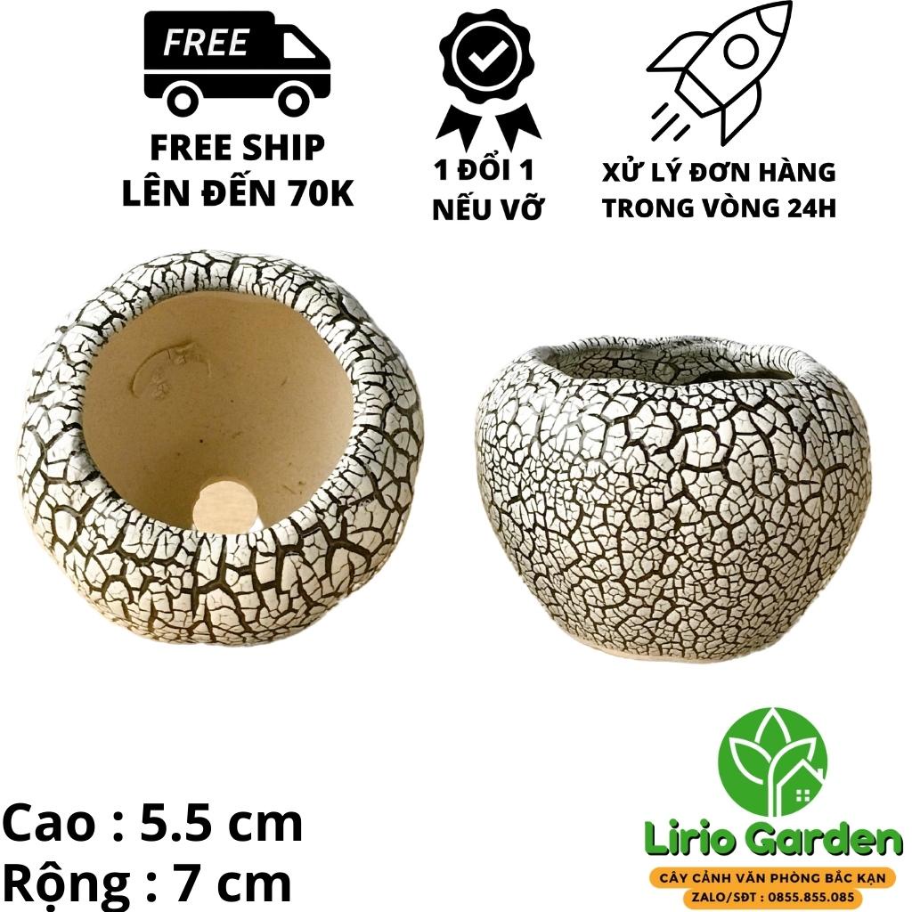 Chậu trồng cây hình quả bí nhỏ rạn nứt