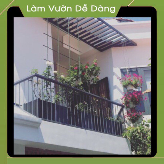 (DEAL SỐC) GIÀN LEO cao 1m5 - KHUNG TRỒNG CÂY Dùng làm Khung Đỡ, Giá Đỡ Hoa Hồng Leo, giàn leo bầu bí mướp