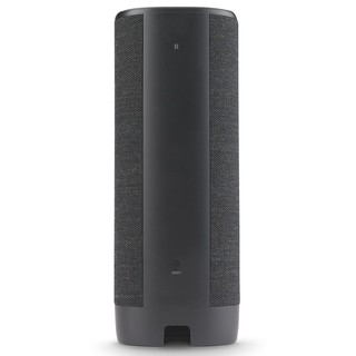 Loa Harman Kardon Citation Surround