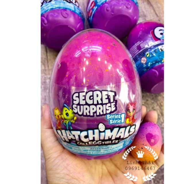 Trứng Hatchimals Secret Surprise