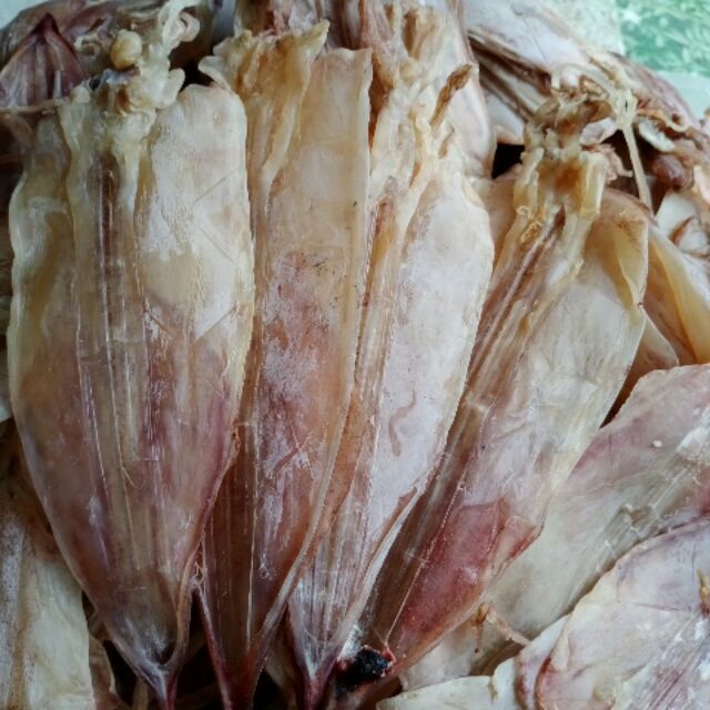 Mực ghe câu