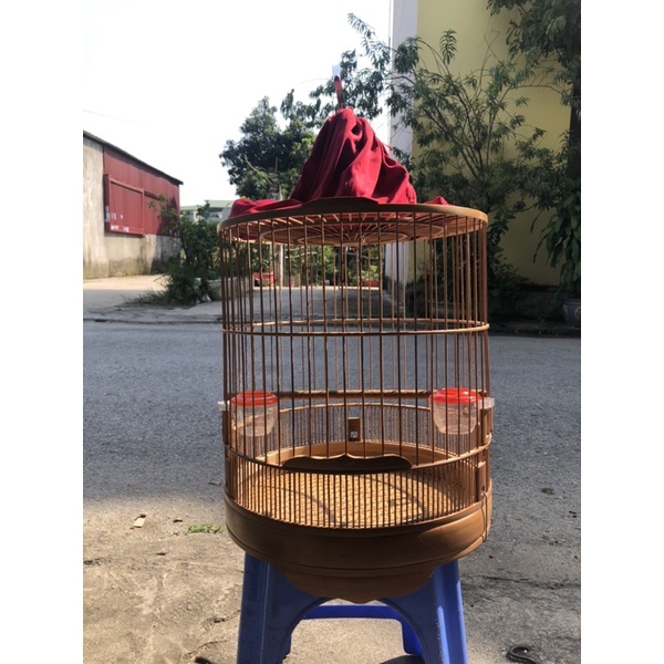 Lồng Choè Bằng