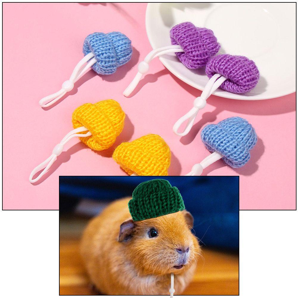 LEISURE Set 2 Mũ Len Màu Trơn Thời Trang Cho Thú Cưng