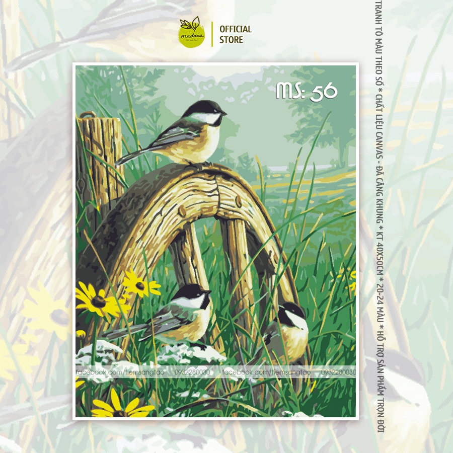 Tranh tô màu 40x50cm có khung Chim trên thảm cỏ xanh T56