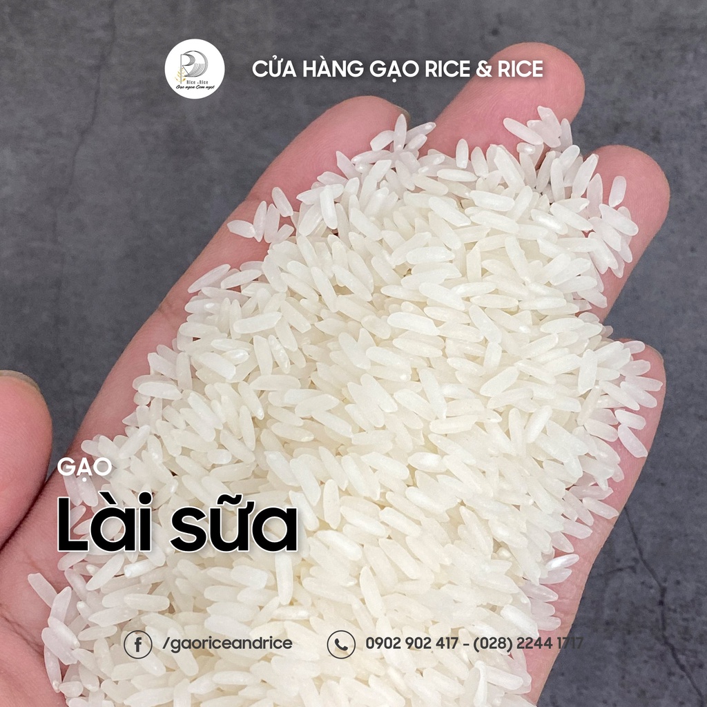 Túi 5KG Gạo Lài Sữa - Mùi thơm nhẹ và dẻo dai, ngọt cơm - Rice&Rice