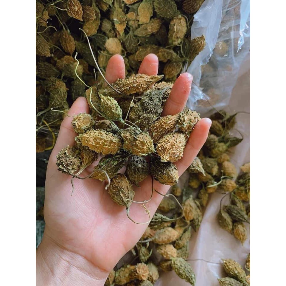 Khổ qua rừng ( mướp đắng rừng ) nguyên trái loại đặc biệt