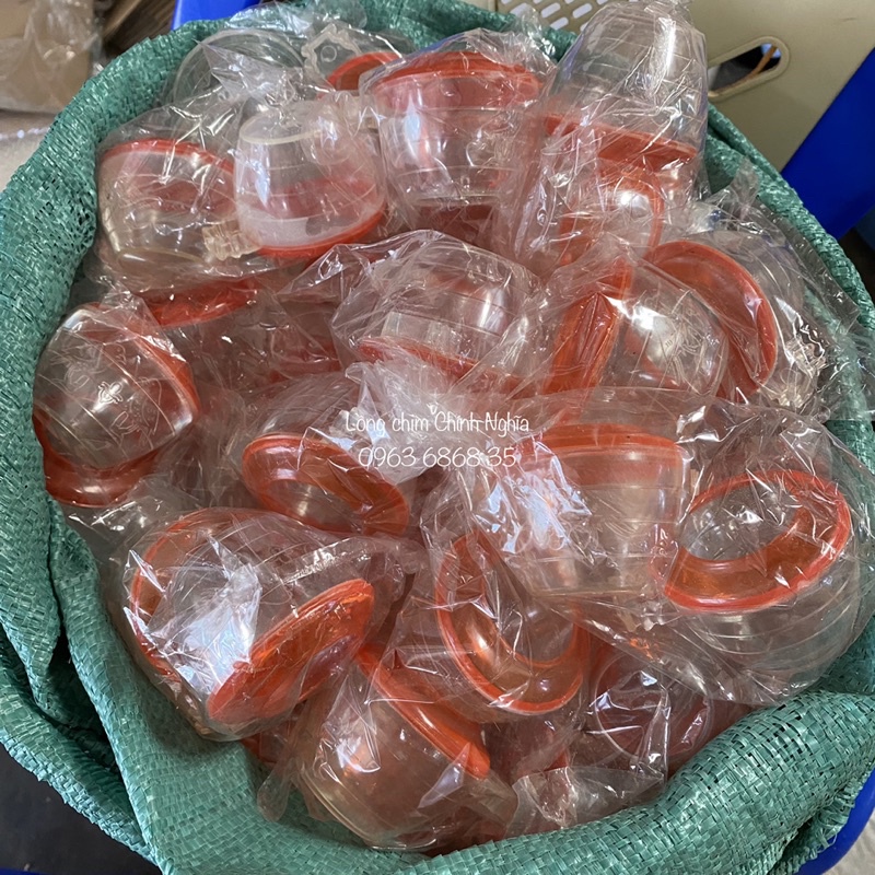 Cóng nhựa chào mào , hũ đựng thức ăn cho chim - Phụ kiện lồng chim giá rẻ