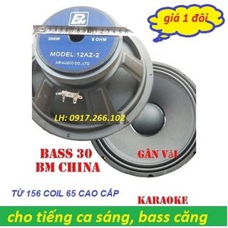 Loa bass 30 bm từ 156 coil 65 cao cấp nhập khẩu - giá 1 đôi