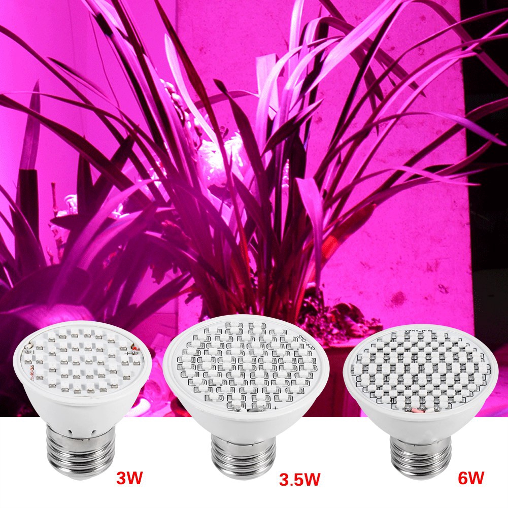 Đèn LED quang phổ toàn phần hỗ trợ trồng cây