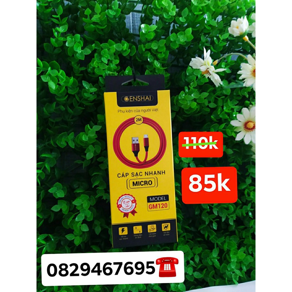 Cáp Sạc GenShai GM120