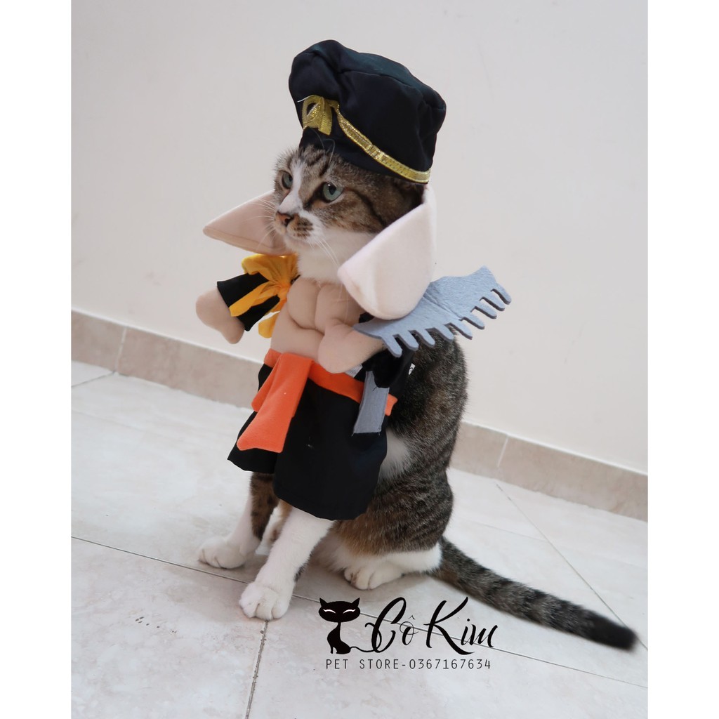 Cosplay trư bát giới