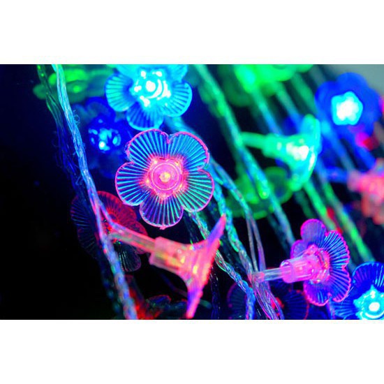 ĐÈN LED TRANG TRÍ HÌNH HOA MAI NHIỀU MÀU