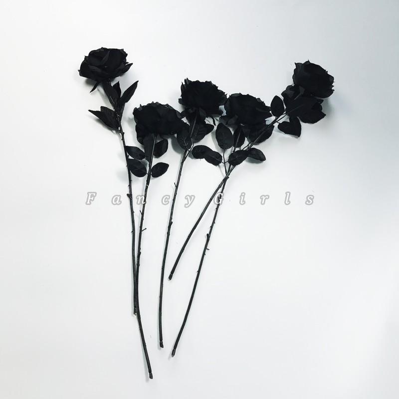 [CÓ SẴN] Hoa hồng đen/ trắng PK13